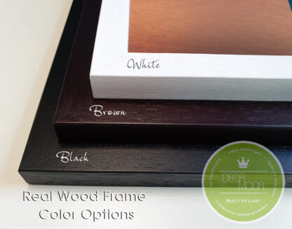 Frame Color Options