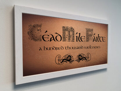 Cead Mile Failte Signs