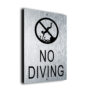 No Diving Sign