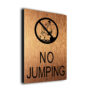 Pool No Jumping Sign