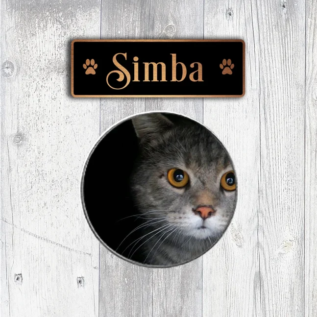 Cat Name Signs Cat Name Sign