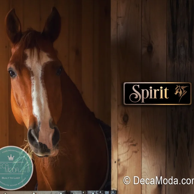 Personalized Horse Name Signs Custom Horse Name Signs