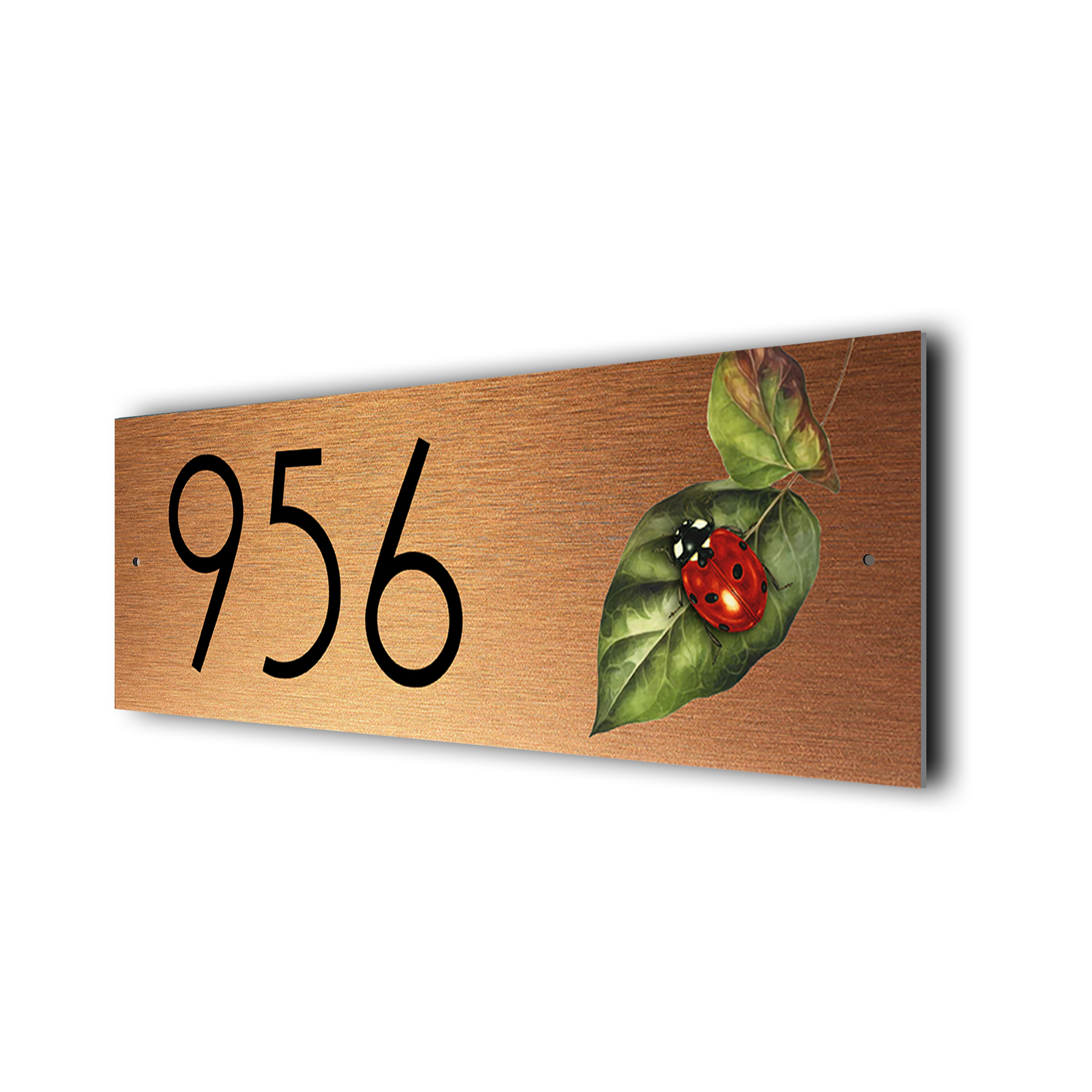 Ladybird Address Sign