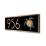 Turtle Address Sign