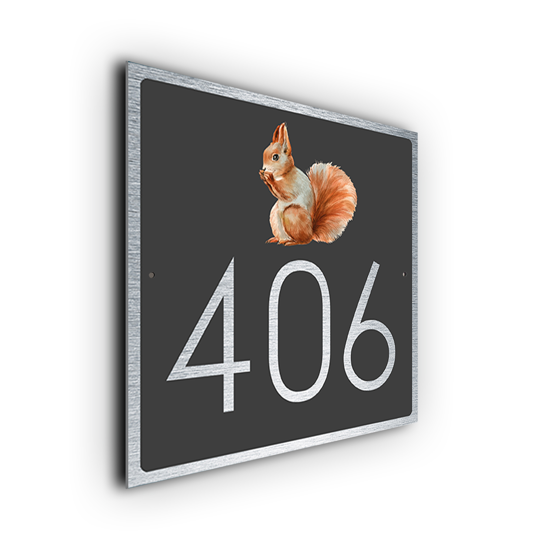 Squirrel House Number Sign